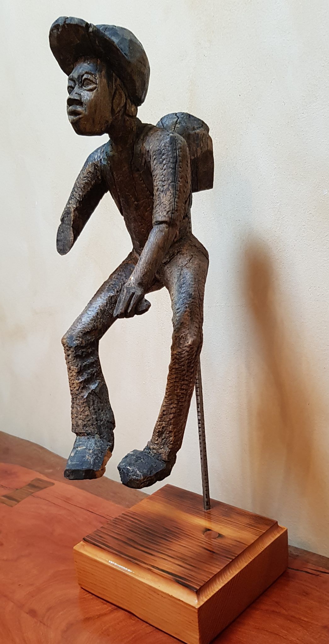 This little guy was found lying in the bush — Image 3