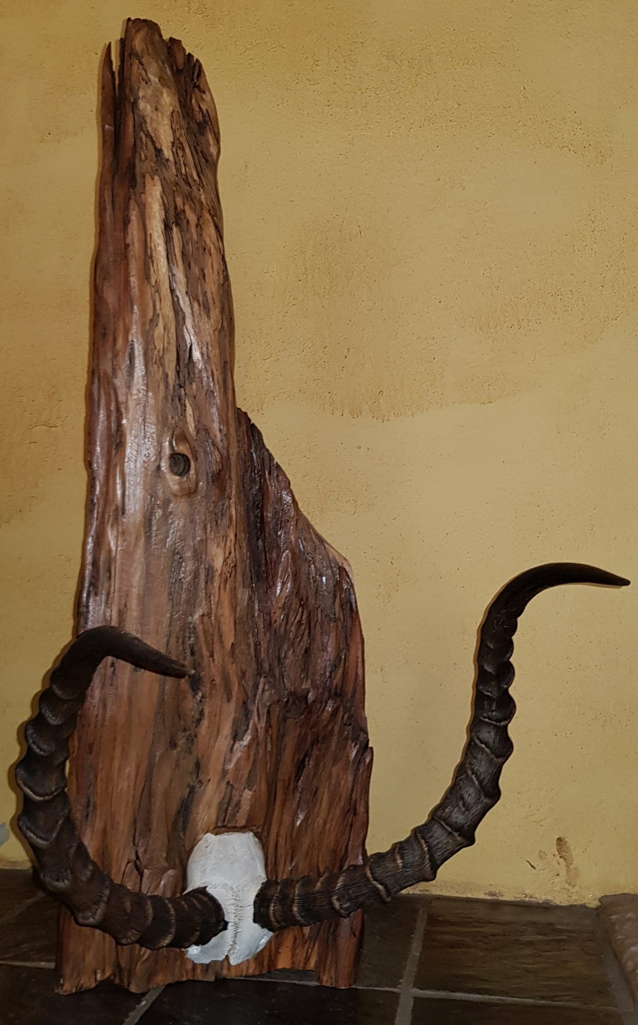 Set of discarded Impala horns beautifully mounted on pieces of sleeper drift ... — Image 2