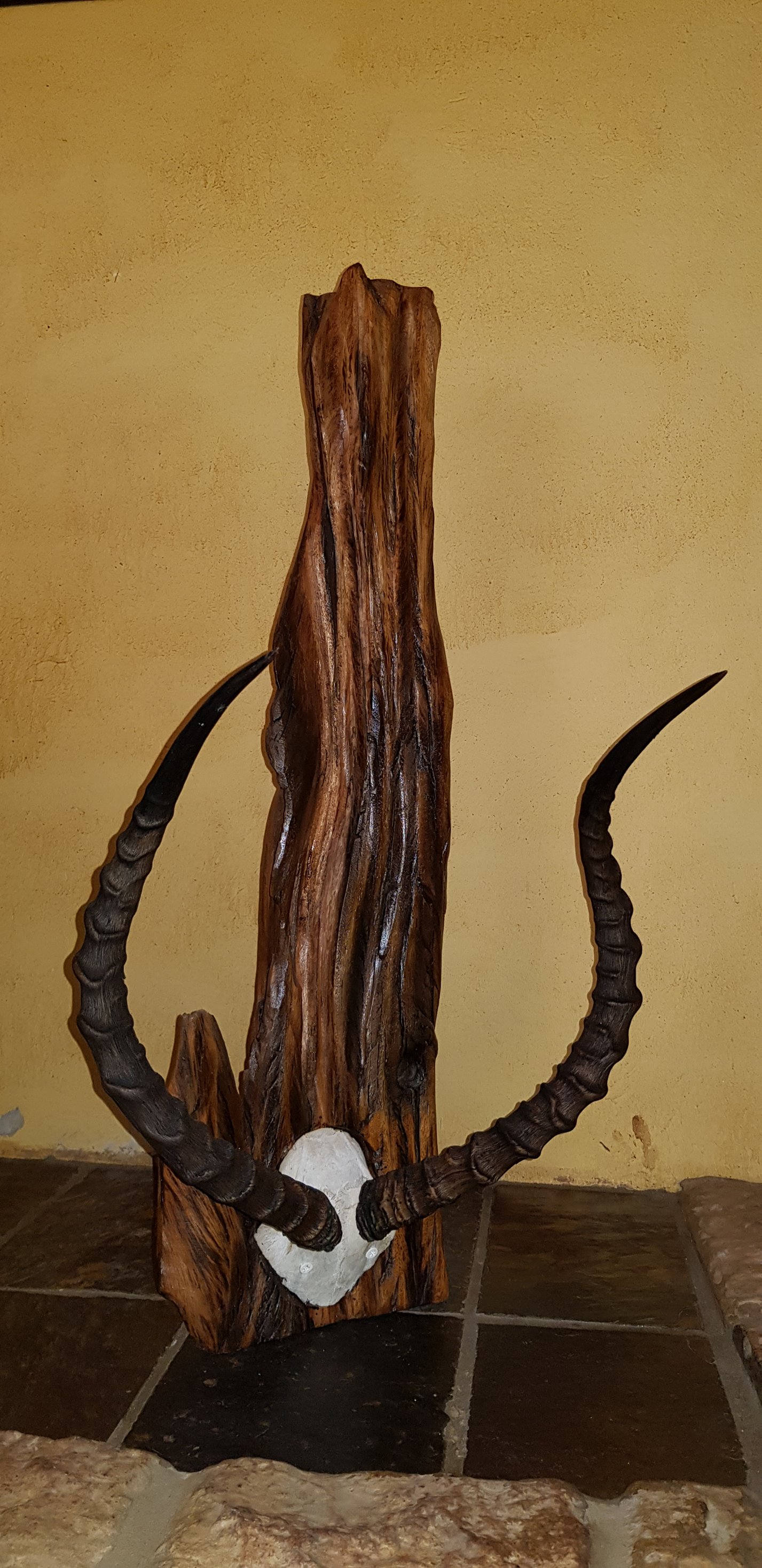 Set of discarded Impala horns beautifully mounted on pieces of sleeper drift ... — Image 3